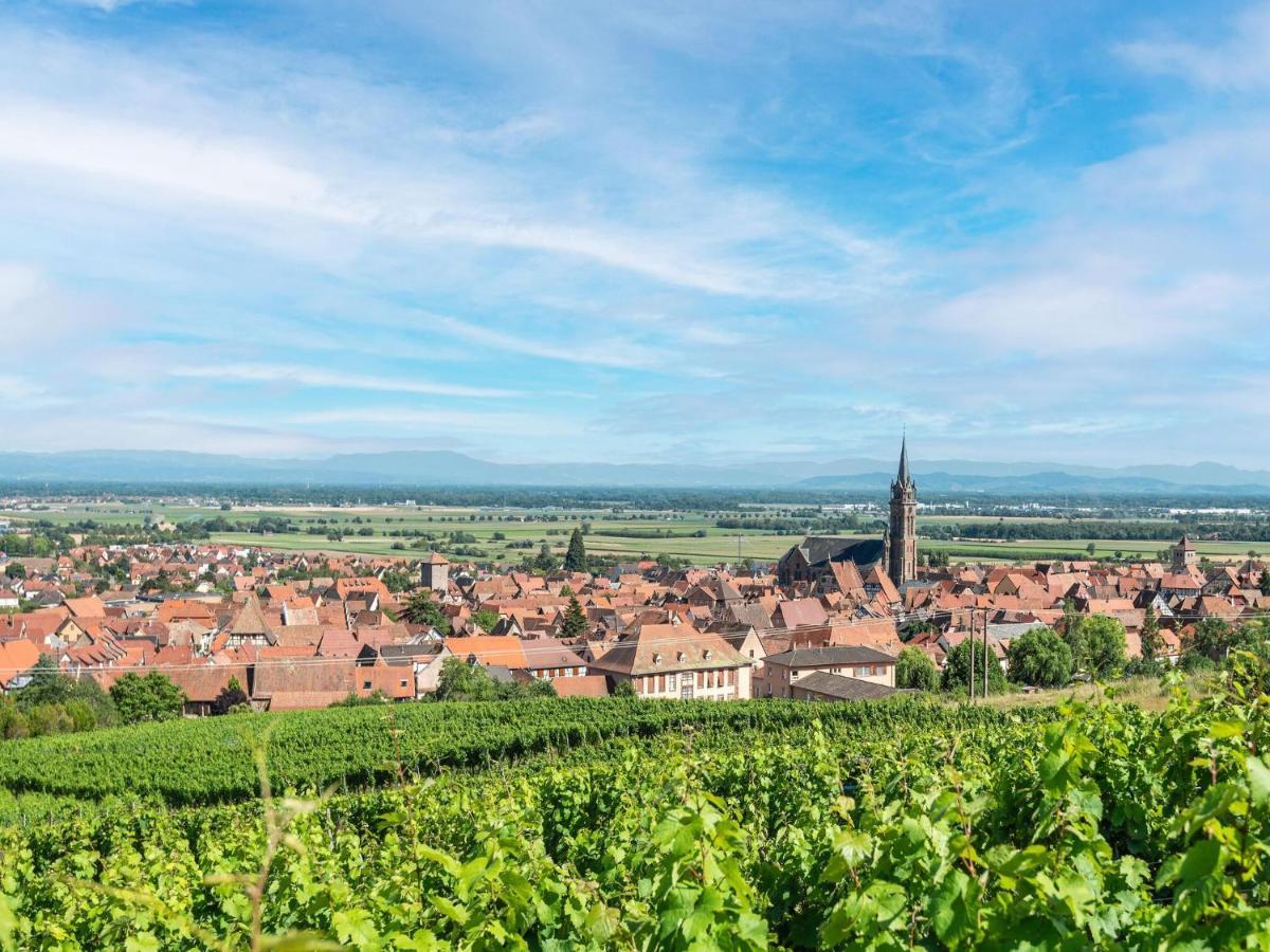 Charming Gite In Dambach La Ville With Terrace Екстер'єр фото